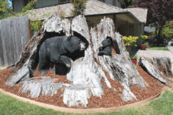 Bears in stump